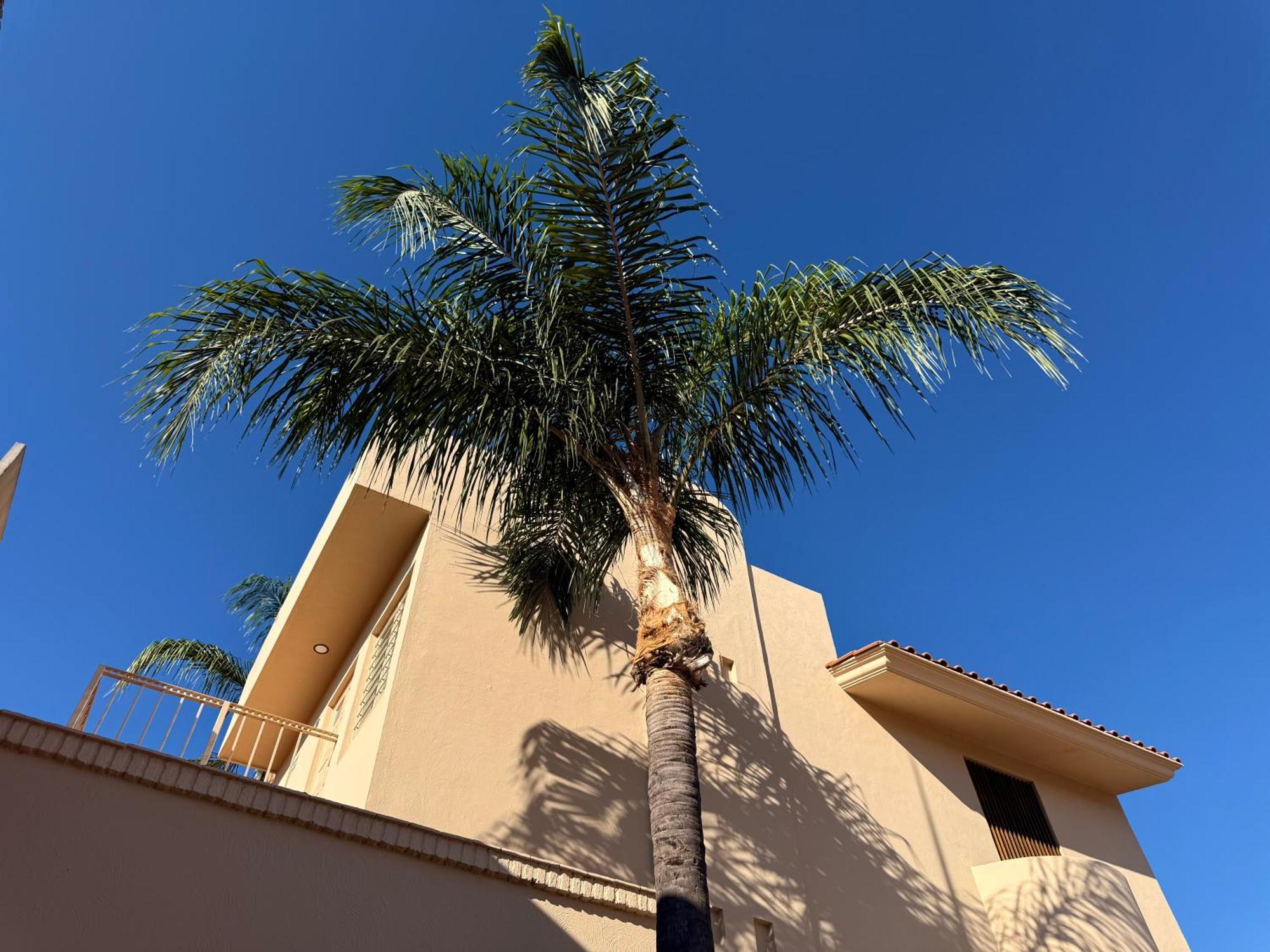 Villa La Palma Hotel Tequila Exterior photo